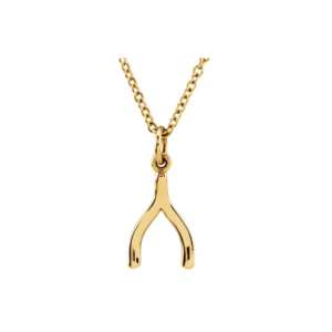 Tiny Wishbone Necklace
