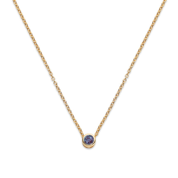 Bezel Birthstone Necklace - Image 7